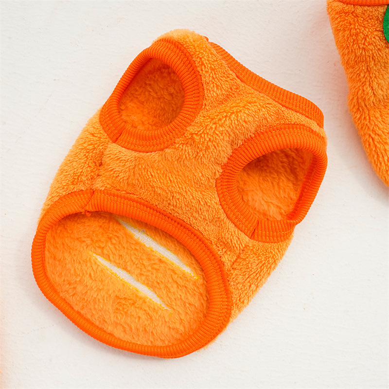 Ropa para mascotas, abrigos cá - Winter Clothing For Toddlers reseña y precio