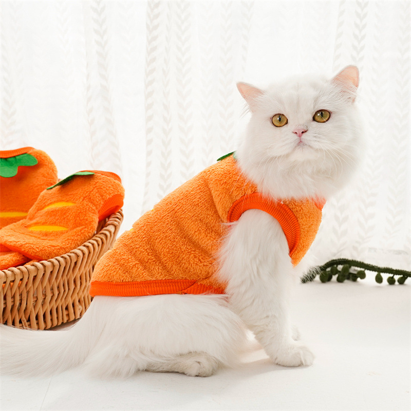 Ropa para mascotas, abrigos cá - Winter Clothing For Toddlers reseña y precio