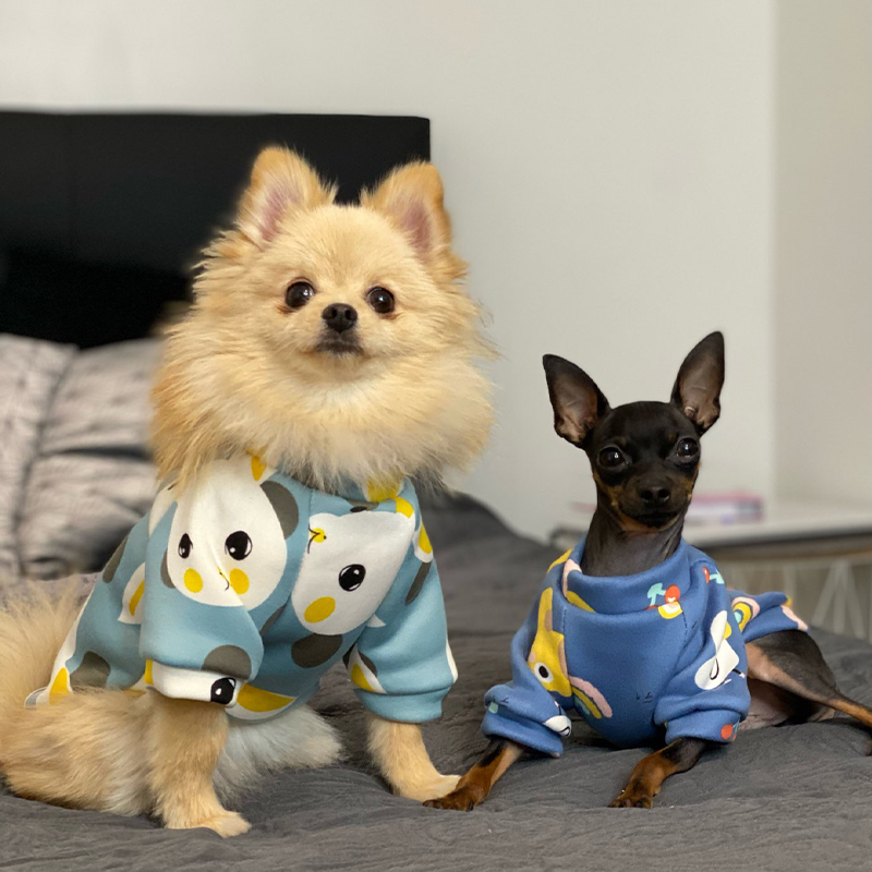 Xs ropa para perros pequeños,  - Winter Clothing For Toddlers reseña y precio