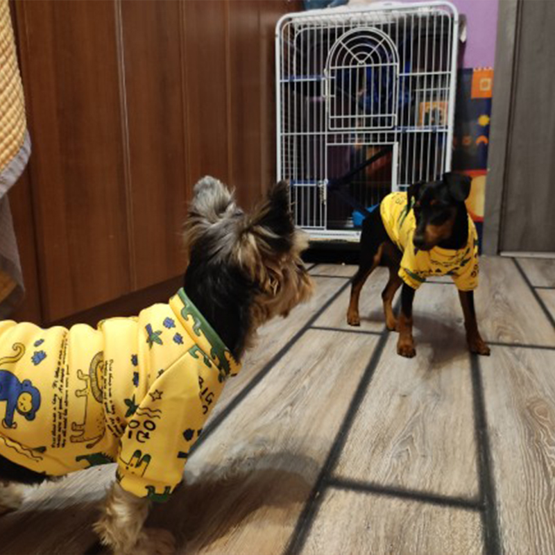 Xs ropa para perros pequeños,  - Winter Clothing For Toddlers reseña y precio